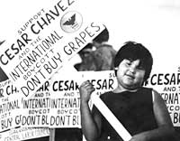 Chicana with Don't Buy Grapes sign